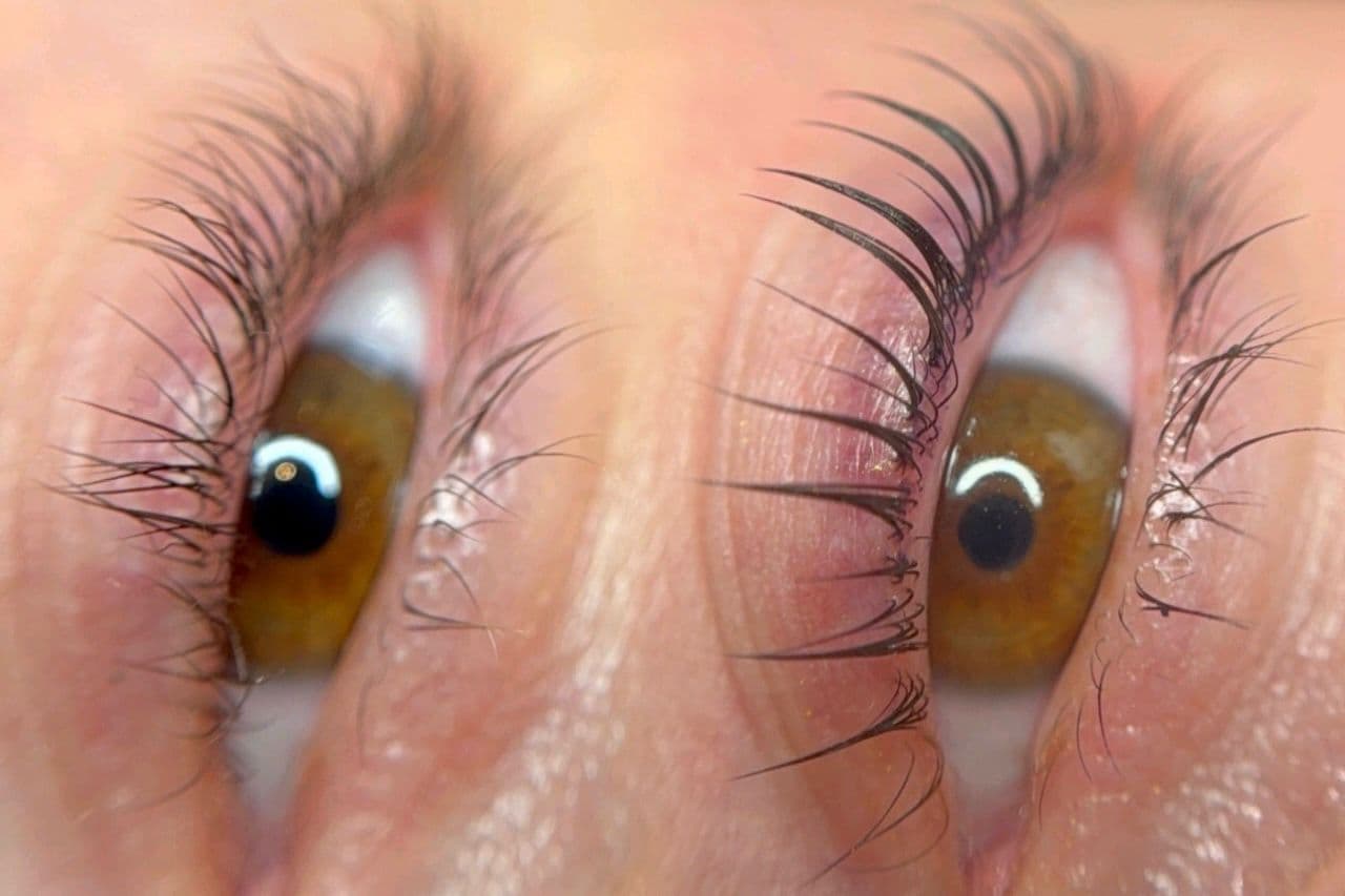 Lashes